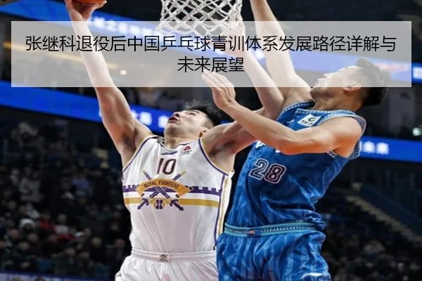 张继科退役后中国乒乓球青训体系发展路径详解与未来展望